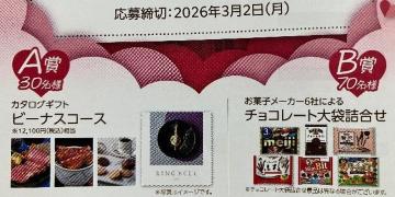 �^�C�A�b�v��12000�~�����J�^���O�M�t�g/�`���R���[�g�l�ߍ��킹/100���l1��