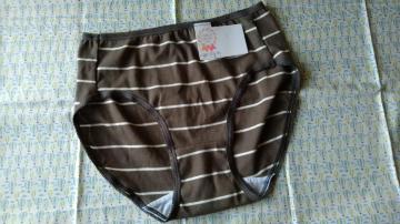 �V���[�c�@L�T�C�Y�@��100%�@�{�[�_�[