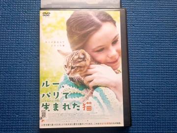 DVD [EpŐ܂ꂽL@M[E_`FtXL