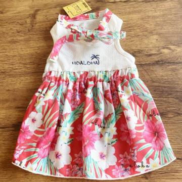 [����] PET PARADISE �A���n�������s�[�X