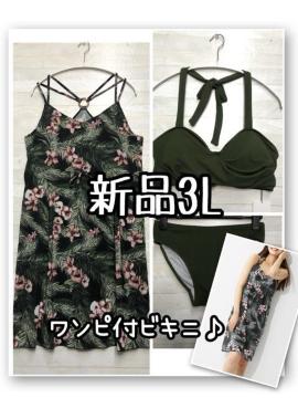 �V�i��3L�􃏃��s�[�X�t������3�_�Z�b�g��r�L�j�{�����s����l���]�[�gE113