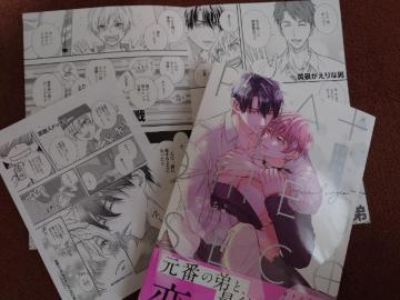 BL�����[�t���b�g�t�y�v���`�i�I���K�z��������