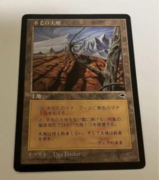 MTG �s�т̑�n