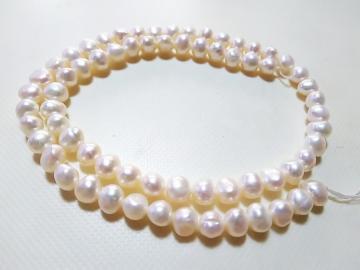 �V�R�΁��W���p�[���@�|�e�g�@�P�A