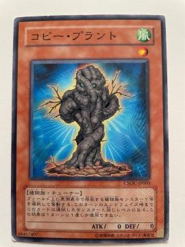 遊戯王【風・コピープラント】