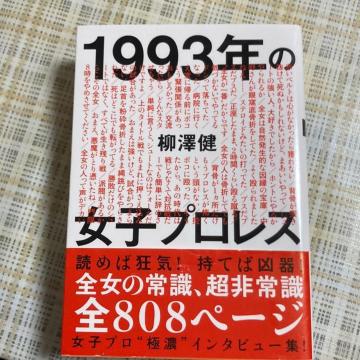 ylz V / 1993N̏qvX ɖ{