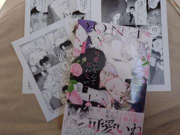 BL�����[�t���b�g�t�y���Ȃ�Č���Ȃ��Łz���Ԃ�