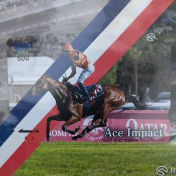 �M����܃G�[�X�C���p�N�g�@QUO�J�[�h500