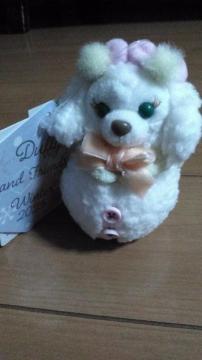 ���]�[�g�V�[�N���b�g�I�u�X�m�[�E�B�[�f�C�N�b�L�[�A���ʂ�����݃`���[��