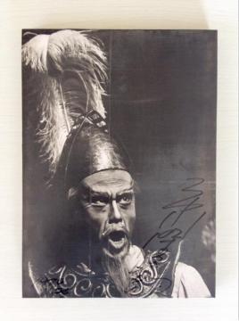 �w���E�}���`���̒j�x�T�C������p�l���ʐ^�I