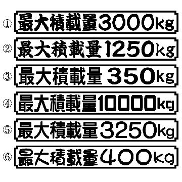 最大積載量 400kg  20センチ 2枚組