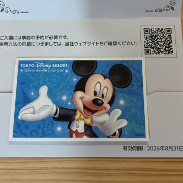 �f�B�Y�j�[�`�P�b�g ���g�p �L������2026.8.31