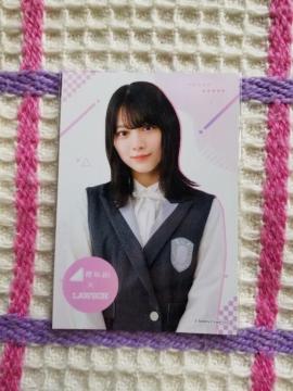 N46  XcЂ  [\  ʐ^