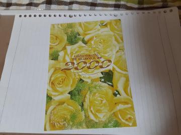 ~jA  2000   gpς