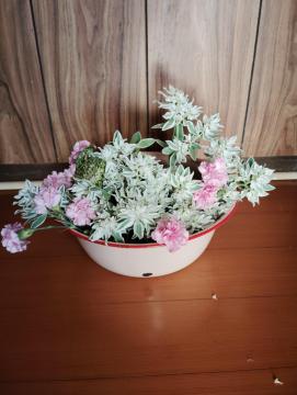 �u���U�[�u�h�t�����[