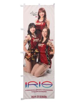 IRIS Ôڂ(4)(MTC)
