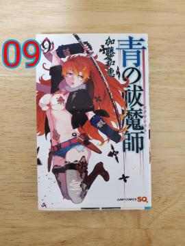 ���P���t(�G�N�\�V�X�g)  9