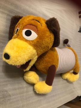 �X�����L�[�h�b�O�@�ʂ������