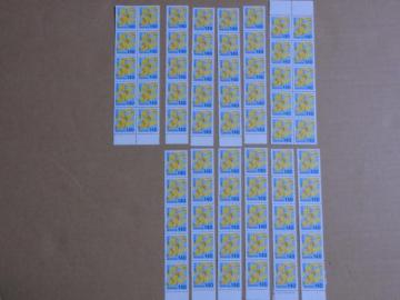 140�~�؎� 70�� ���ʐ؎�