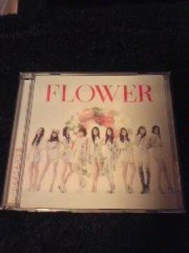 FlowerŐVݸفylͻ۰z