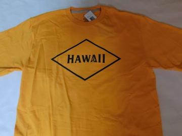 {R yGIVEBACK SERIESzyHAWAIIzST US L YEL