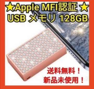 Apple MFIF USB iPad MacBook PC 128GB