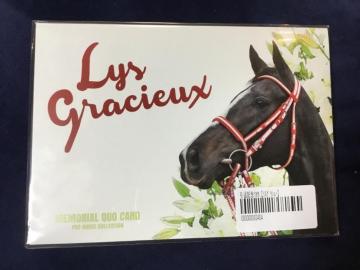 �y�������z���X�O���V���[�@���ދL�O�@�N�I�J�[�h�@QUO�J�[�h