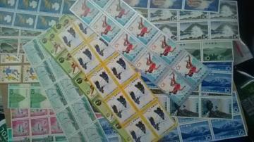 10~؎160Vigpi  10160[1