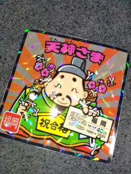 �����n�r�b�N���}���V�[���@�񂒓��{�ҁ@No.16 �V�_���� ����