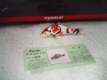 �t���^  �y�b�g����2    �ь�                    �O�F