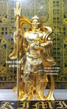 V   10cm t qcG_ Iȑ` @CV@i @CV}i V kV 