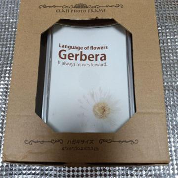 Gerbera �t�H�g�t���[�� 4x6/10.2�~15.3cm�@�n�K�L�T�C�Y