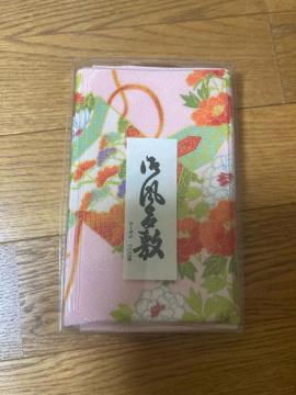 1508.gpaԕӂ낵Oタ߂