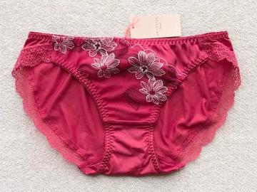 Triumph AMOSTYLE V[c MTCY ԎhJ bh 