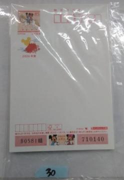 2026�N   �N��͂���30��