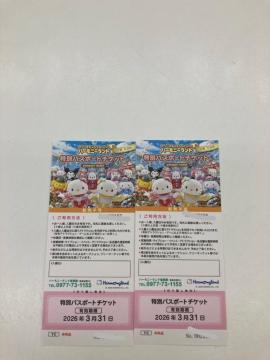 サンリオハーモニーランド 特別パスポート 2枚