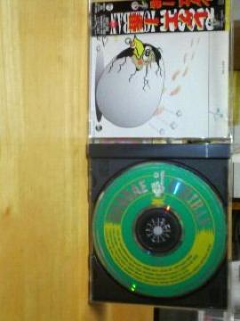 CD Ao [Yh QG REGGAE ICHIBAN