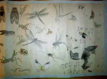 G | ҕsڂ̓Mމ抪 120}ȏ ^ۏ 