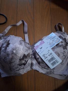 �u���W���[D80