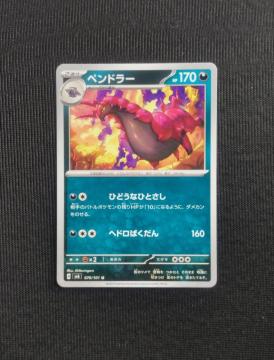 �|�P�J�@�ό��̉��ʁ@�y���h���[