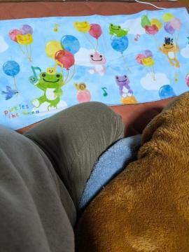 �J�G���̃s�N���X�t�F�C�X�^�I��