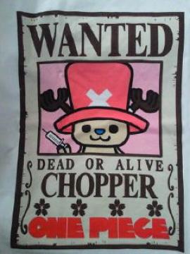 ONE PIECE ߰ ߰ z ޻޲ T ܲ M`L 