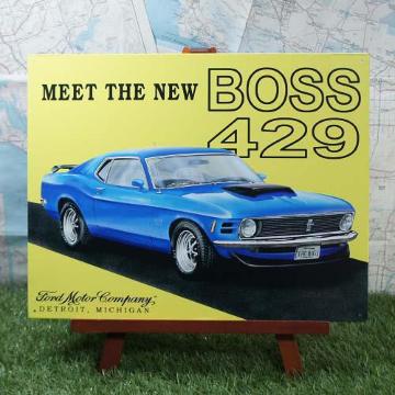 ViyuLŔzMustang^tH[hE}X^O@BOSS429