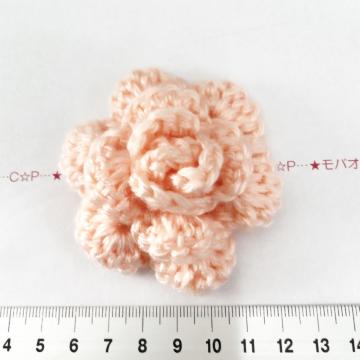 28*Ҳށ􍡔NVFю̊KŃ@10