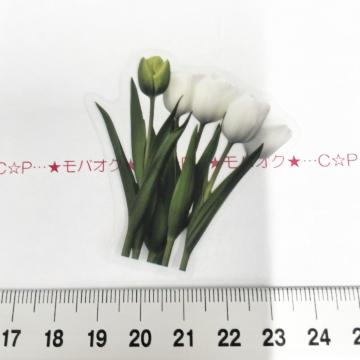 �`���[���b�v�̺װ�ޭ��ف@335