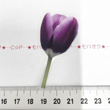 �`���[���b�v�̺װ�ޭ��ف@339