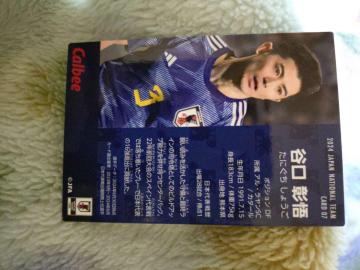 Calbee 2024 ���{��\ �T�b�J�[�`�b�v�X�J�[�h �J������I�� No.7