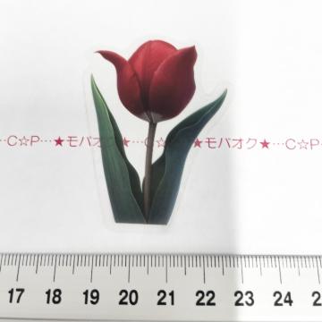 �`���[���b�v�̺װ�ޭ��ف@347