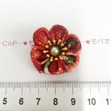 10*����Ҳ�ށ�܂ݍ׍H���������́@1