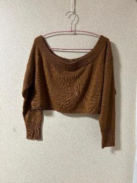 1.4万新品タグ付きArumlily★ウール40%ショートニット